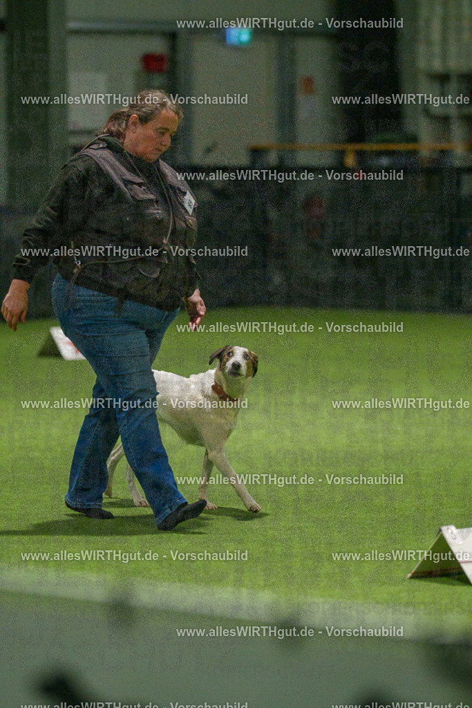 7R508608 | Professionelle Tierfotografie in Mönchengladbach von Daniel Wirth (allesWIRTHgut). Liebevolle & natürliche Bilder von Hunden & Katzen für unvergessliche Erinnerungen.