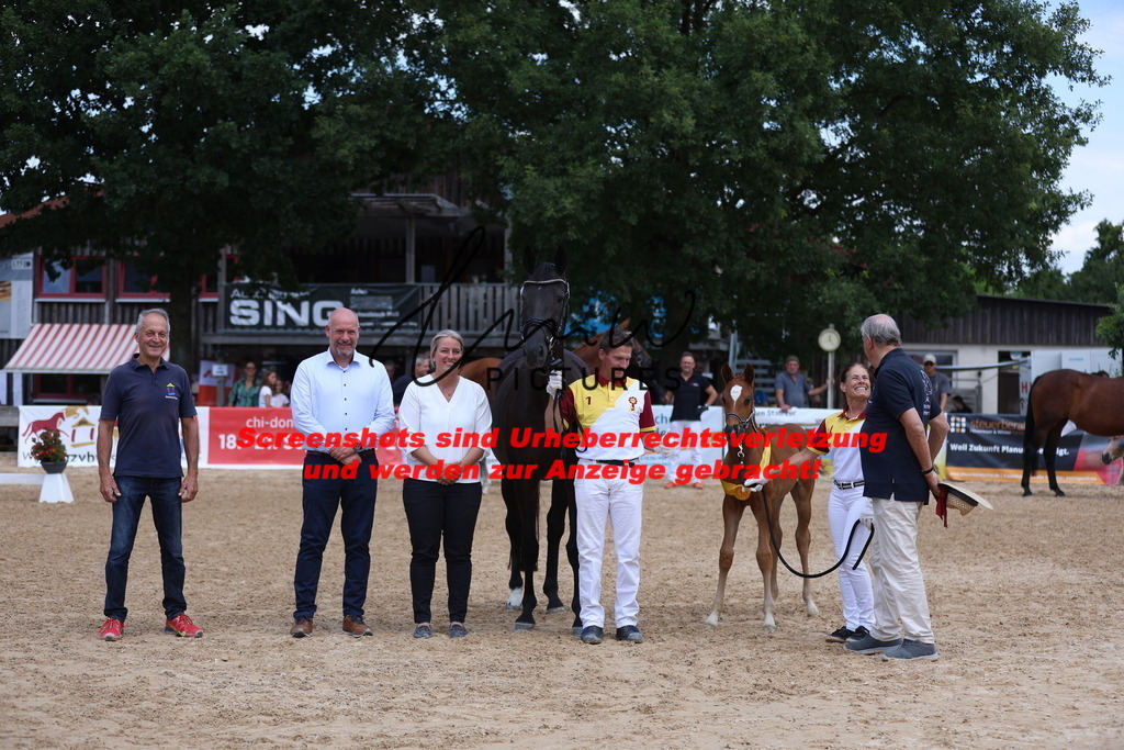 Fohlenschau_Schwäbisch_Hall_dressurbetonte_Fohlen_SIEGERFOHLEN_KN 4_10 | lmwpictures - Realisiert mit Pictrs.com