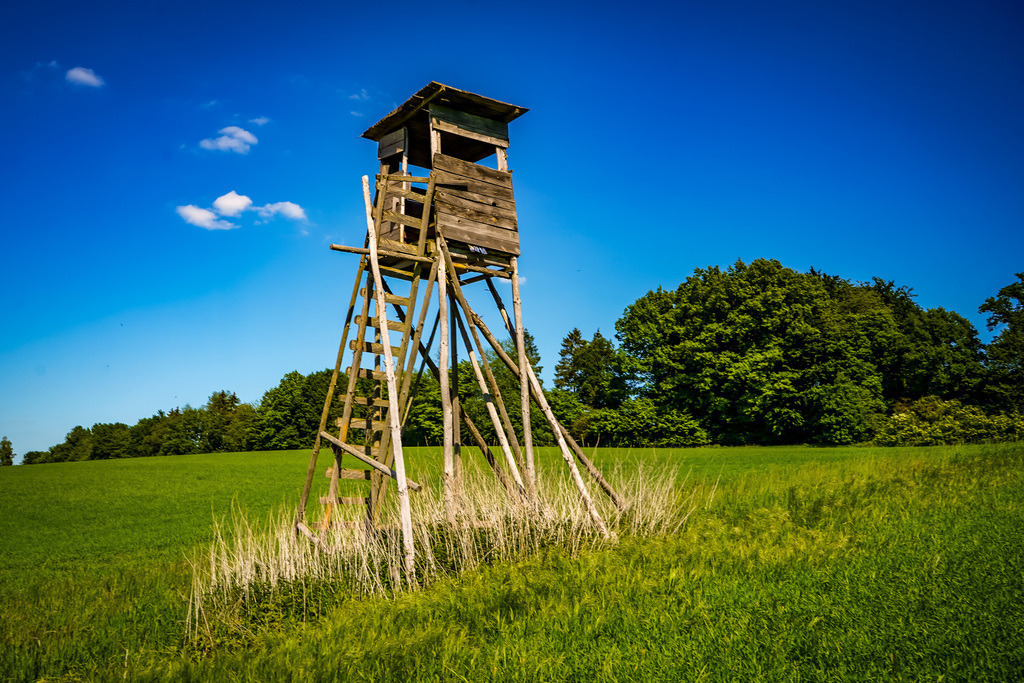 Stille alte Würde - Hirzenhain | Oberhalb von Hirzenhain steht ein alter Jägerstuhl. Wind und Wetter haben sein Holz gezeichnet, doch er trotzt allem mit stiller Würde. Wer auf ihm Platz nimmt, spürt die Ruhe, die Ehrfurcht und die Verbundenheit mit der Natur. Der Stuhl ist mehr als ein Platz zum Sitzen – er ist ein Ort, der die Seele berührt. - Realisiert mit Pictrs.com