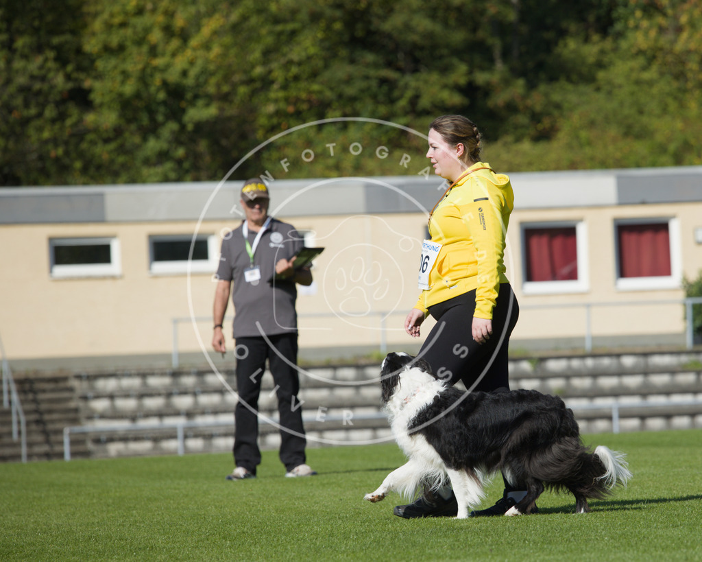 0L8A2366 | Hundefotografie, Tierfotograf, Pfotenfotografie, Fotoshooting Hund, Hunde Portrait, Hundesport, Hundeportraits, Heideshooting, Hunde, Sportfotograf, Hundefotograf, Turnierhundsport, THS,  - Realisiert mit Pictrs.com