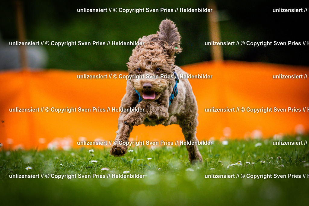 Sven Pries | 2025-05-29 - Pudelrennen KA-Durlach - Realisiert mit Pictrs.com