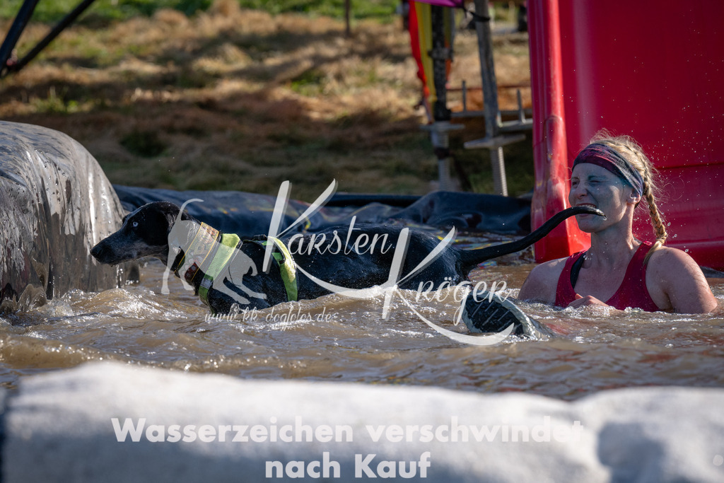 1703_ZZ93018 | kk-dogfotos