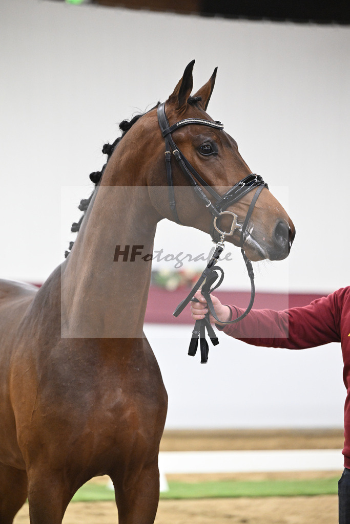 Kat-Nr. 43 Va Pensiero x Secret_Philipp Stuppert_47251503 | hf-fotografie - Realisiert mit Pictrs.com