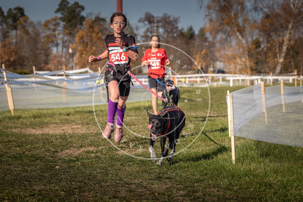 CaniXpix_0L8A7614 | Hundefotografie, Tierfotograf, Pfotenfotografie, Fotoshooting Hund, Hunde Portrait, Hundesport, Hundeportraits, Heideshooting, Hunde, Sportfotograf, Hundefotograf, Turnierhundsport, THS,  - Realisiert mit Pictrs.com