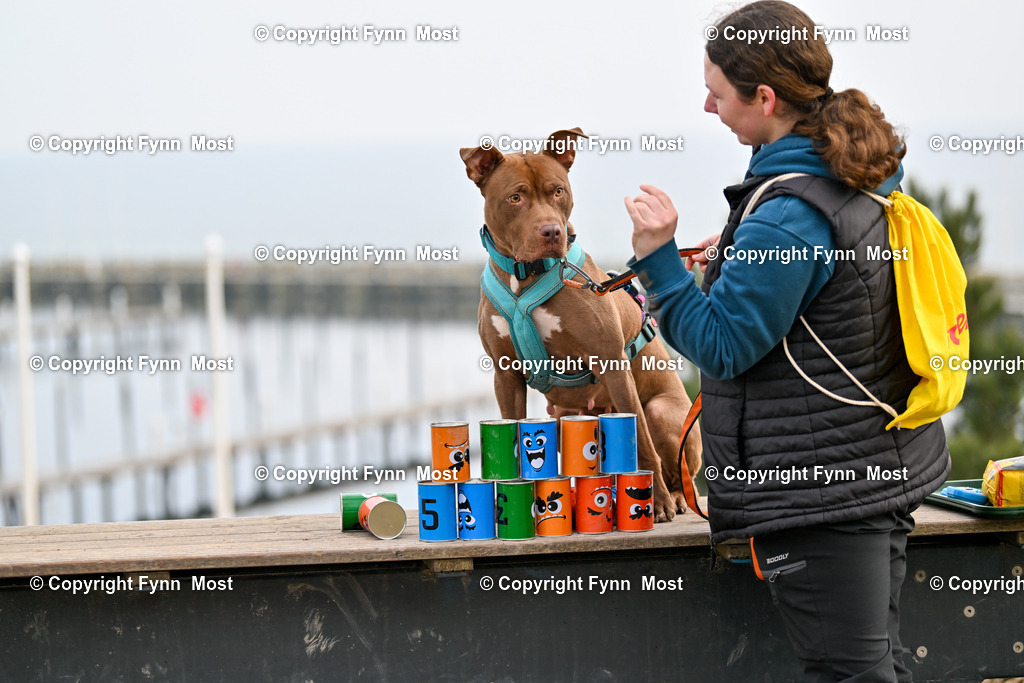 DSC_5593 | Hallo und herzlich Willkommen auf meiner Shop-Seite Fynn Most.

Ich wünsche Dir viel Spaß beim stöbern durch die Bilder, wenn Du Fragen hast oder Bilder vermisst, kannst du mir gerne eine Nachricht schreiben. - Realisiert mit Pictrs.com