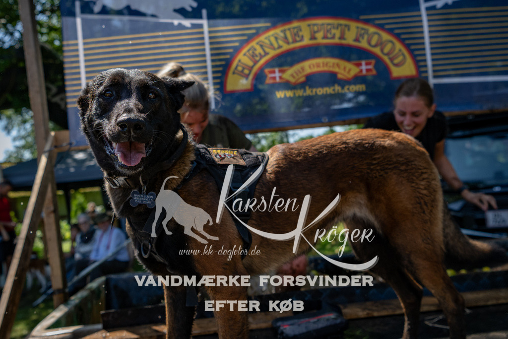 1319_ZZ91172 | kk-dogfotos