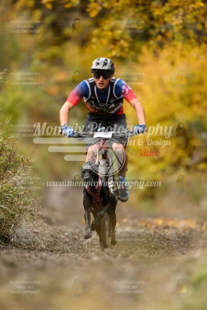 MompixPhotography_ICF_WC_2024_SA_Bike_-374 | PayLife