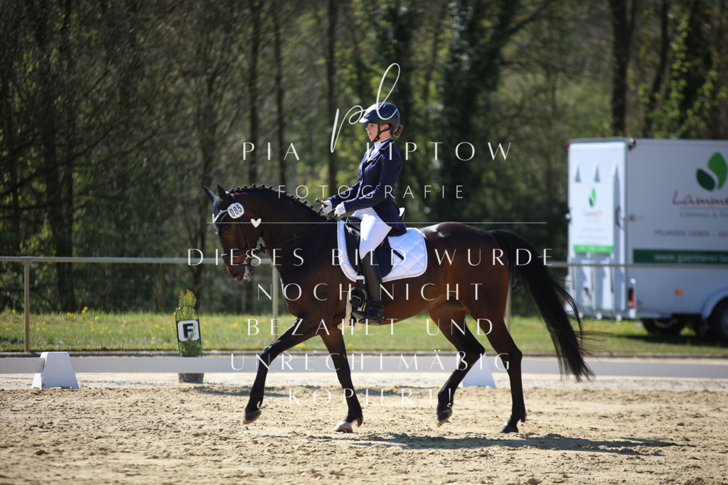 IMGT9704 | pl-fotografie