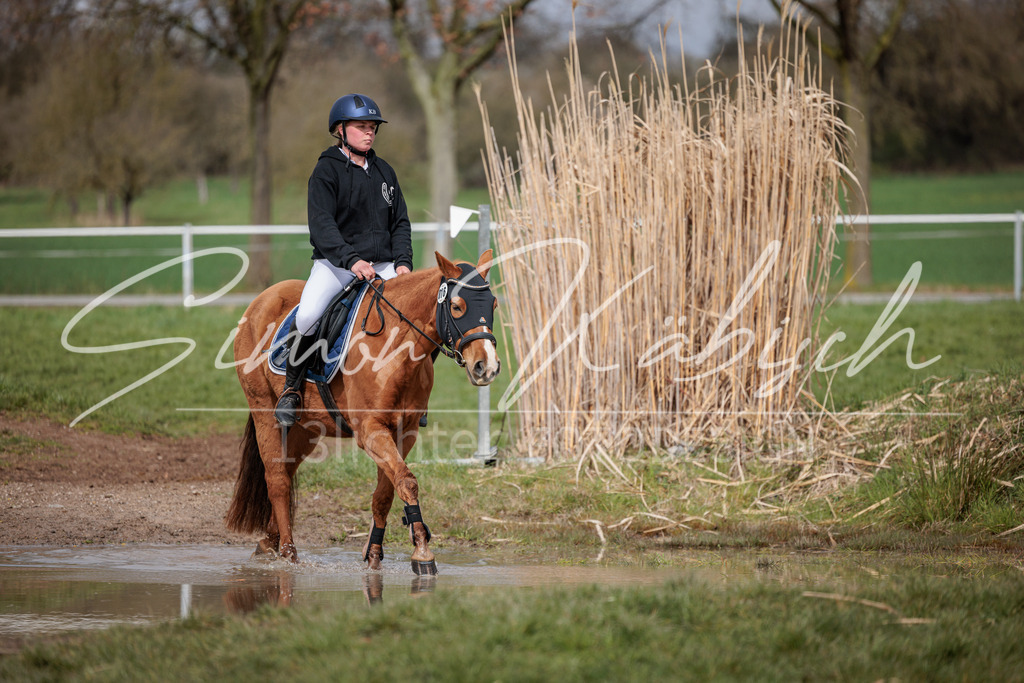 20260329-_3LI4286 | Tierfotografie Pferde, Hunde, Katzen, Haustiere.
Turnierfotografie Reitturniere, Reiten, Springreiten, Dressur in Hanau, dem Main-Kinzig-Kreis und dem Rhein-Main- Gebiet um Frankfurt