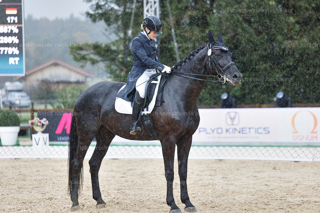 8_2-171-DRESSUR S_  -StoibPH-4495 | working equitationturnier fotograf videograf stoibphotography marixx film working equitation deutschland reitsport turnierfotografie eventfotografie equestrian events