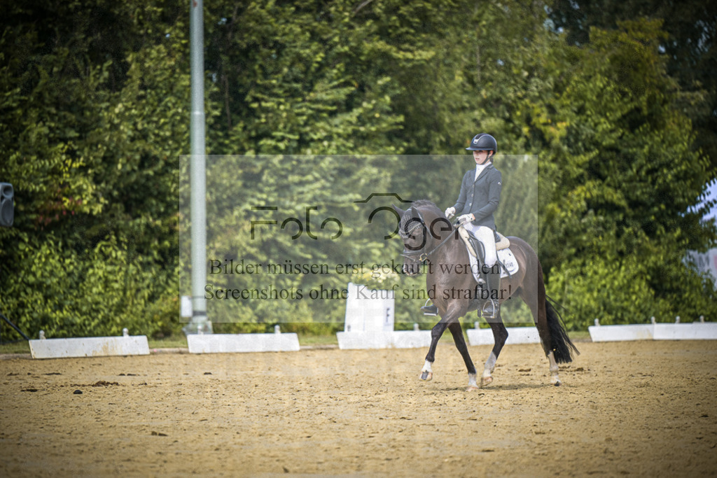 DOS_3771 | Entdecke hochwertige Reitturnierfotos von Foto Oger. Professionell, emotional und authentisch – jetzt Lieblingsmomente im Shop bestellen.Deutschlandweite Turnierfotografie. - Realisiert mit Pictrs.com