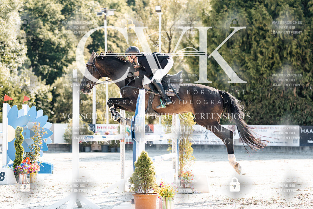 CK901918 | Turnierfotografie Pferdefotografie Trier Rheinland-Pfalz Pferdesport Reitsport Tierfotografie Sportfotografie Pferdevideo Pferdevideografie Equestrianvideography equestrianphotography  - Realisiert mit Pictrs.com