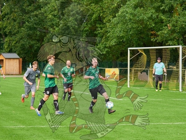 SpG Freya Marienwerder-Union Klosterfelde III vs. SpG Biesenthal-Grüntal II 317 | mythos-online-redaktion