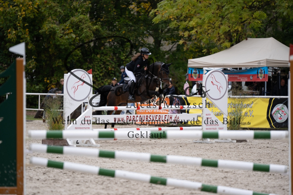 A7V09407 | Pferdefotograf