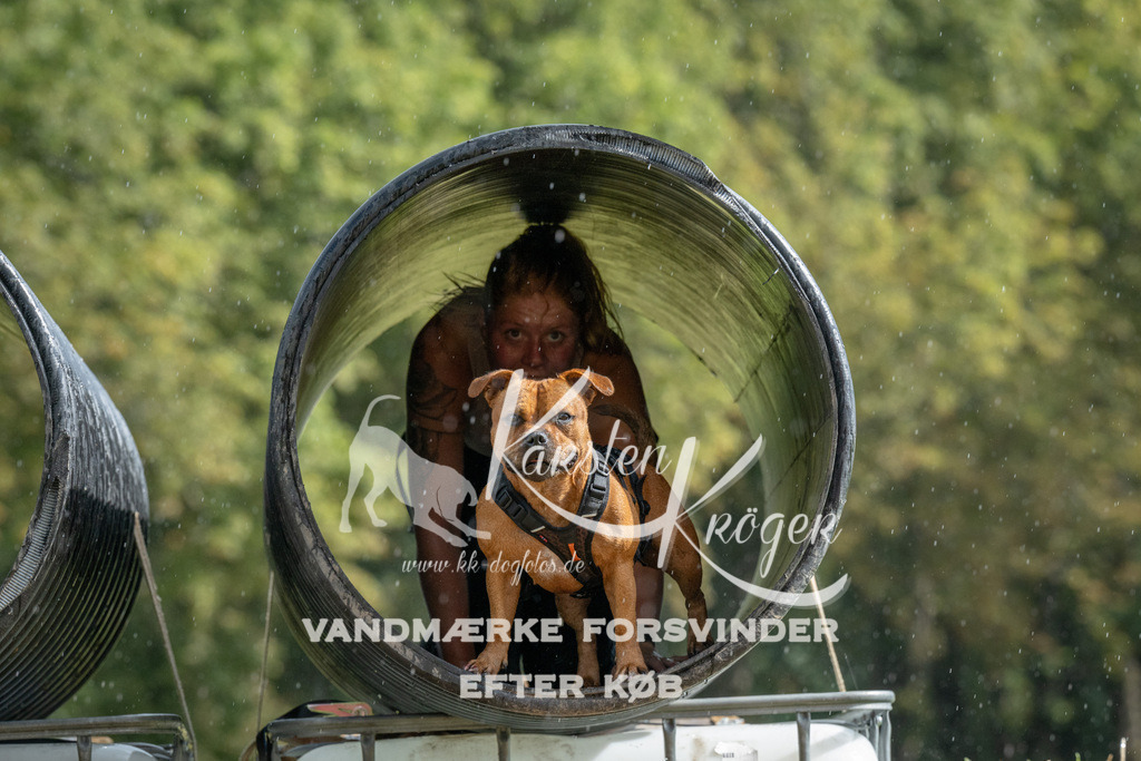 1117_ZZ93838 | kk-dogfotos