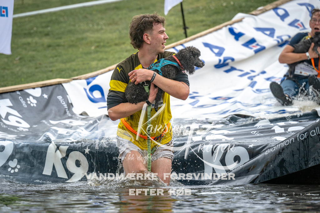 1517_ZZ94203 | kk-dogfotos