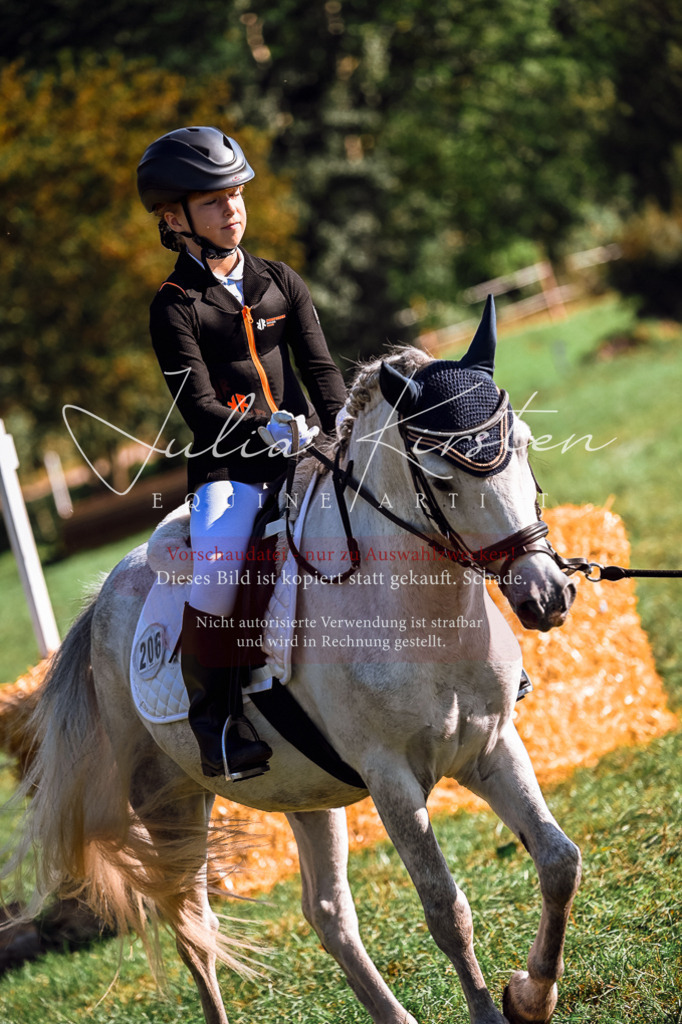 DSC_0418 | Pferde- und Turnierfotografie in Westsachsen. Pferdeportraits, Auftragszeichnungen und intuitive Kunst.