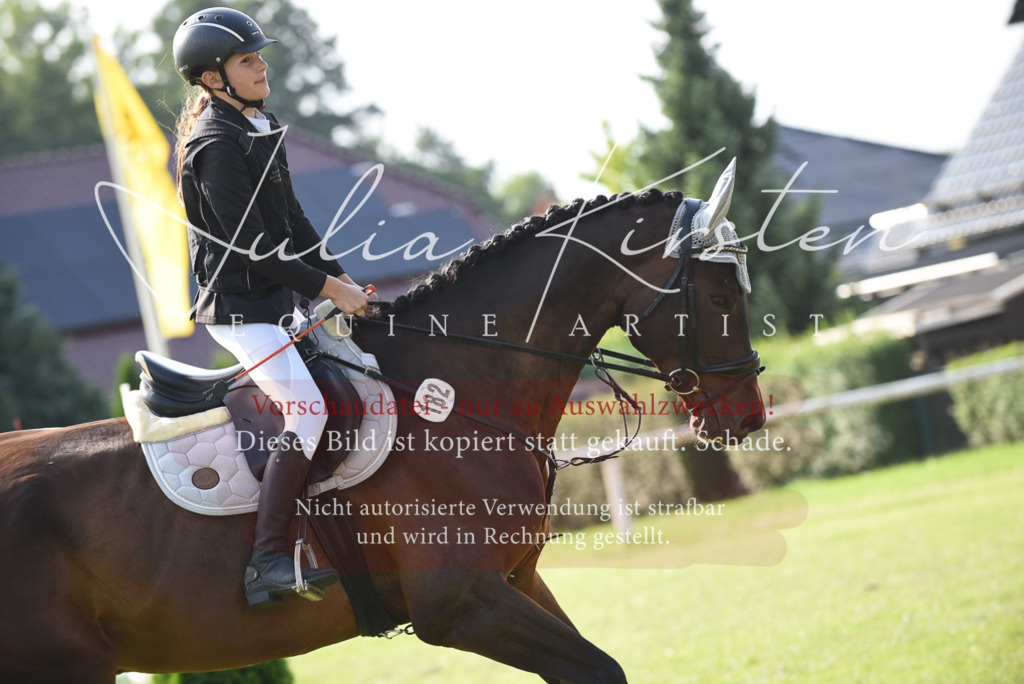 DSC_8678 | Pferde- und Turnierfotografie in Westsachsen. Pferdeportraits, Auftragszeichnungen und intuitive Kunst.