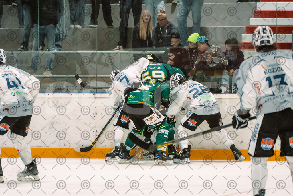 Alligatros_vs_Leipzig_11_09_2026-25 | Die Fotogalerie von Daddel: professionelle Bilder von Sport, Events und Unternehmen aus Franken. Jetzt Galerien durchstöbern und Lieblingsfotos bestellen. - Realisiert mit Pictrs.com