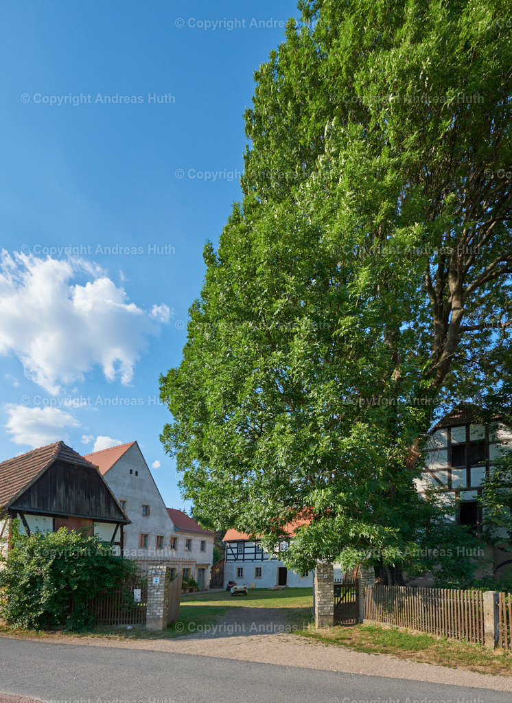 Die Schlossmühle Schieritz | Bedeutsame Landschaften Deutschlands - Realisiert mit Pictrs.com