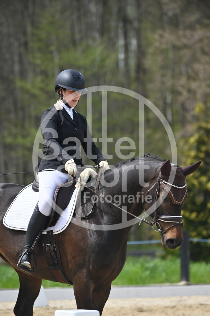 DSC_3121 | sattelsport - Realisiert mit Pictrs.com