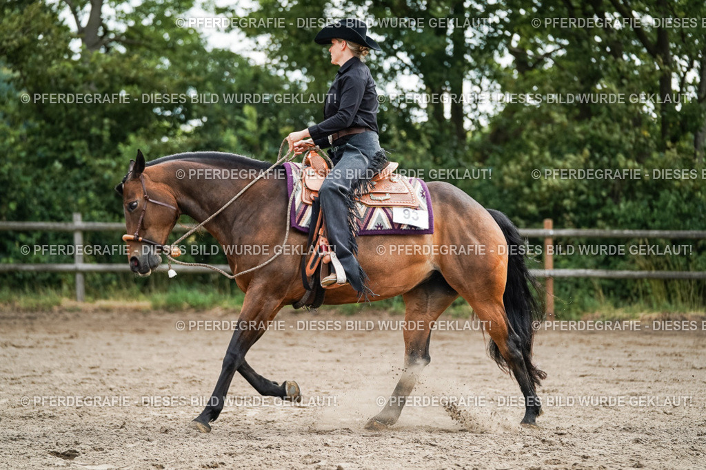 DSC03406 | Pferdegrafie