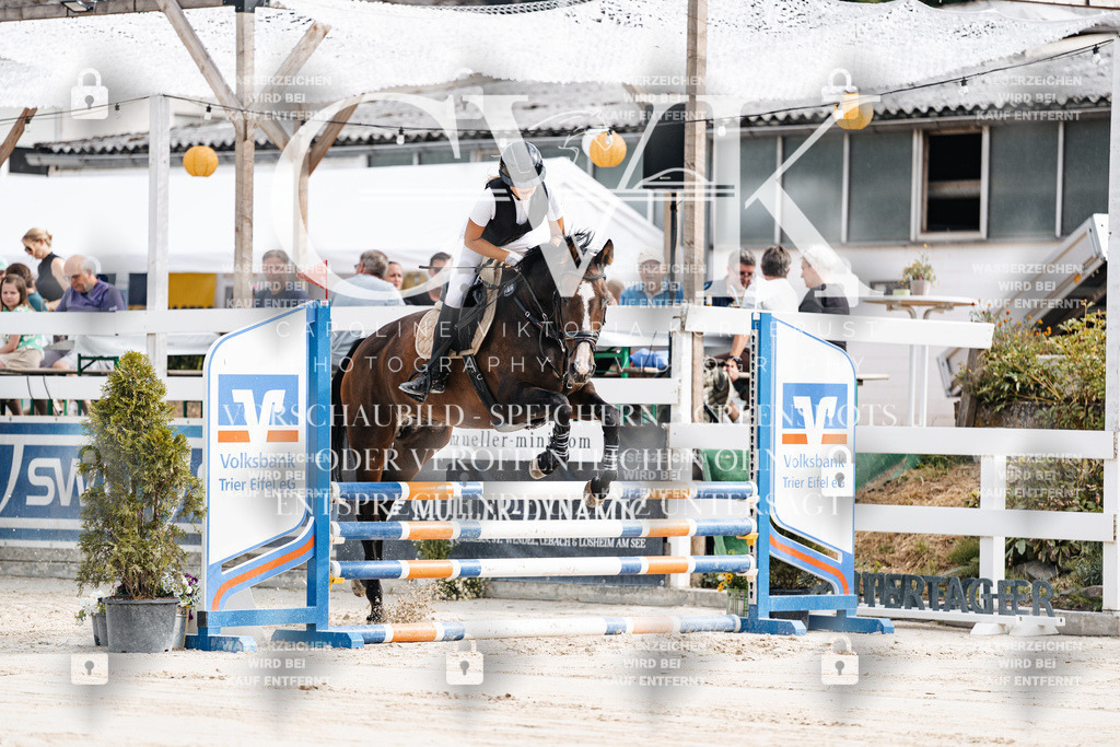CK908853 | Turnierfotografie Pferdefotografie Trier Rheinland-Pfalz Pferdesport Reitsport Tierfotografie Sportfotografie Pferdevideo Pferdevideografie Equestrianvideography equestrianphotography  - Realisiert mit Pictrs.com