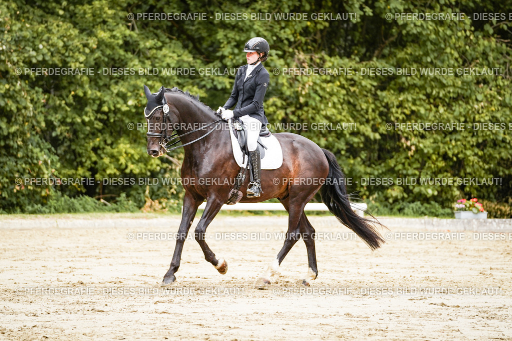 DSC03838 | Pferdegrafie