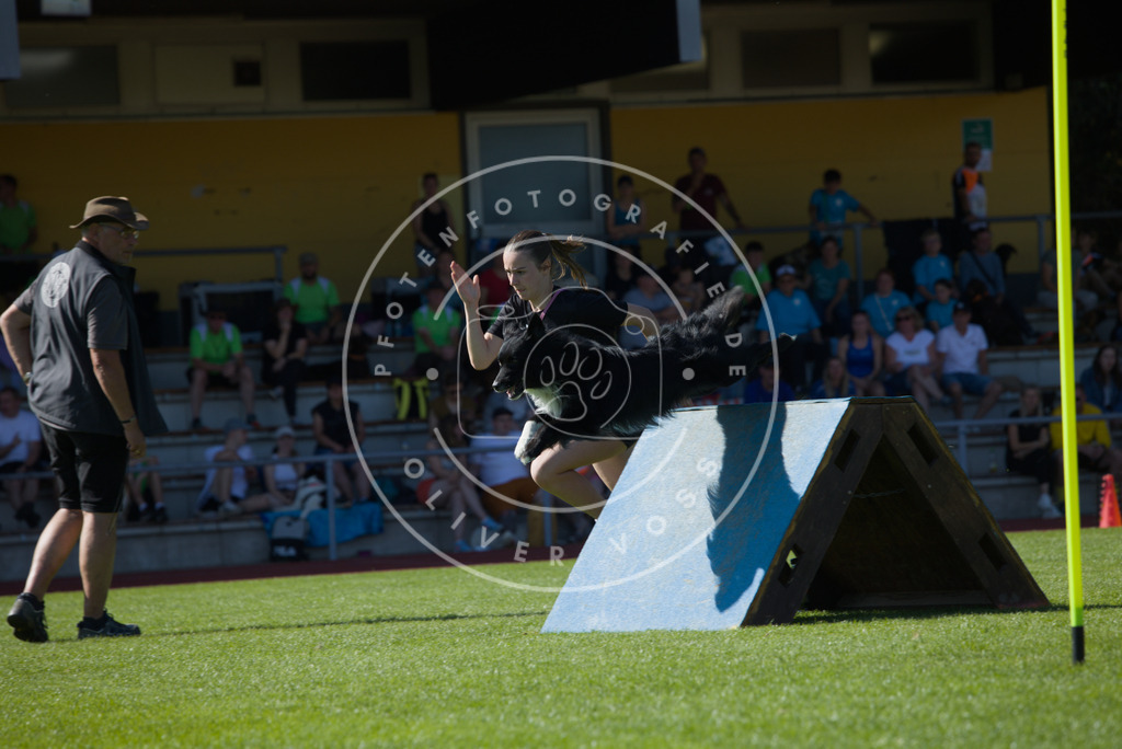 0L8A7517 | Hundefotografie, Tierfotograf, Pfotenfotografie, Fotoshooting Hund, Hunde Portrait, Hundesport, Hundeportraits, Heideshooting, Hunde, Sportfotograf, Hundefotograf, Turnierhundsport, THS,  - Realisiert mit Pictrs.com