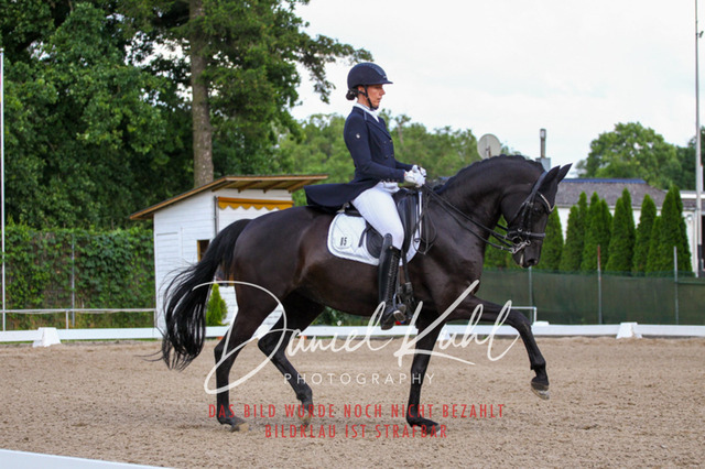DKP41673 | Deine Turnierfotos vom Reitturnier online kaufen: Dressur, Springen & Siegerehrung. Professionelle Pferdefotografie aus dem Rheinland – als Download & Print.Alternative: Turnierfotograf für den Pferdesport: Finde deine Fotos von Dressur- und Springturnier