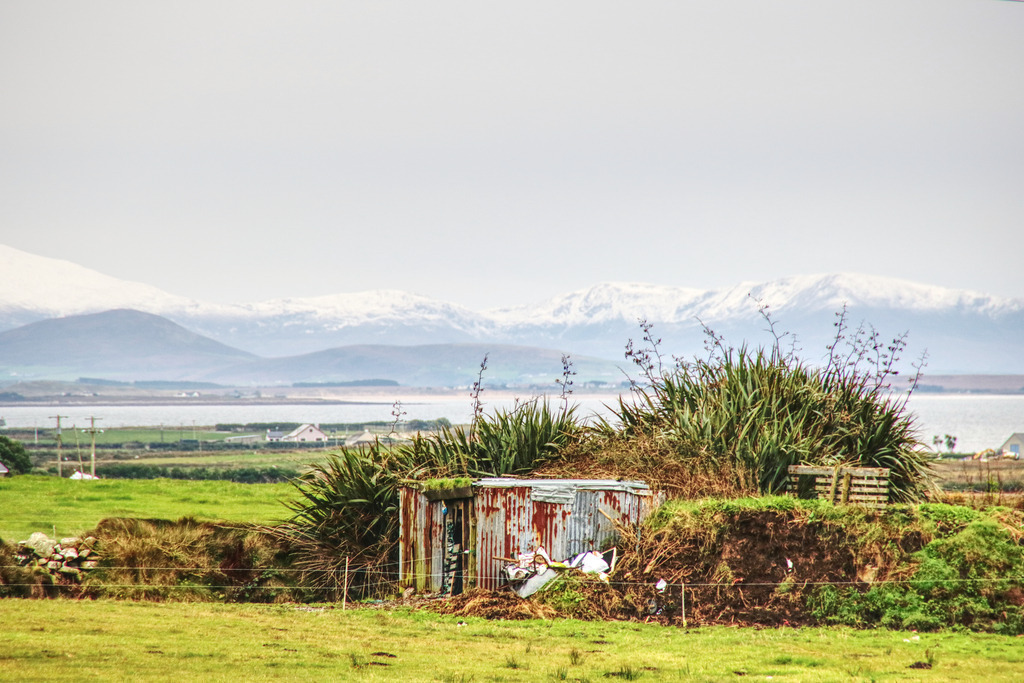 IMG_8327 | www-pimpup-me - Realisiert mit Pictrs.com