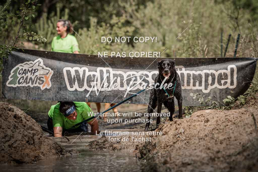 nelerasche_Hoope2026_Sa1200-1230_705 | nelerasche