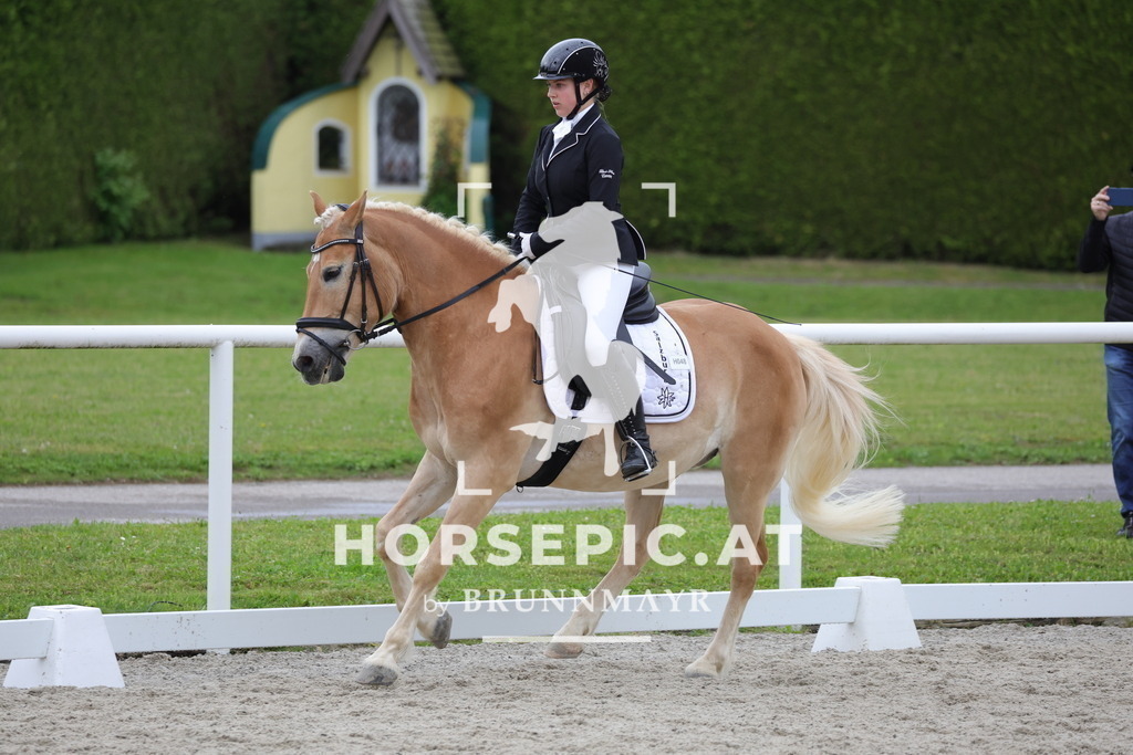 0P6A5187 | Willkommen bei Brunnmayr - Design & Fotografie – Ihrem Spezialisten für Reitturniere und Pferdeveranstaltungen in Oberösterreich, Salzburg und Bayern! Seit über 17 Jahren sind wir leidenschaftlich dabei.