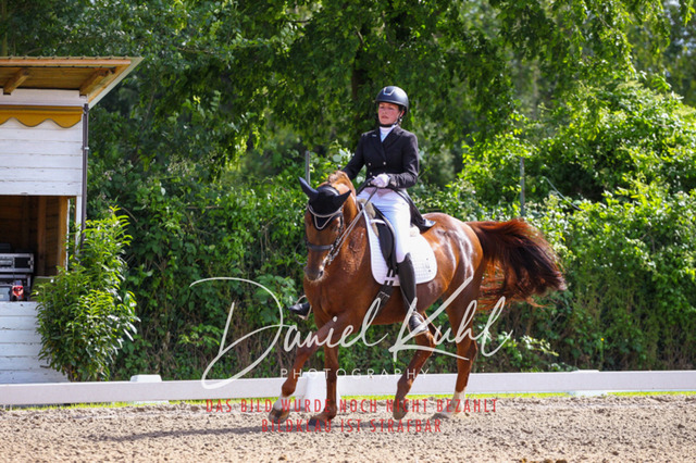 DKP41425 | Turnierfotos kaufen im Webshop von Daniel Kuhl Photography – entdecke professionelle Reitsportfotos aus Turnieren & Events. Hochwertige Turnierbilder online bestellen & sichern. Jetzt Fotos von Reitsportturnieren kaufen!