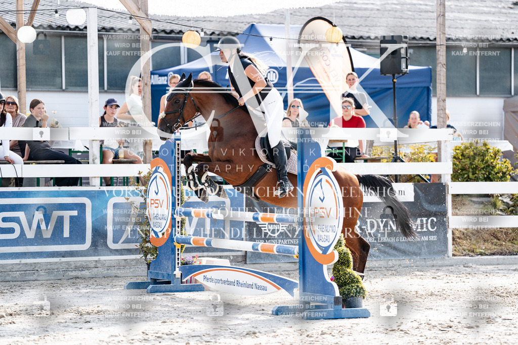 CK906103 | Turnierfotografie Pferdefotografie Trier Rheinland-Pfalz Pferdesport Reitsport Tierfotografie Sportfotografie Pferdevideo Pferdevideografie Equestrianvideography equestrianphotography  - Realisiert mit Pictrs.com