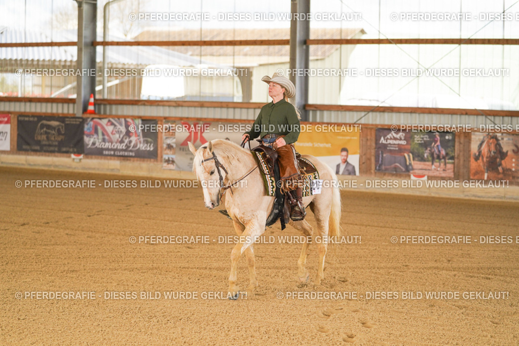 DSC06708 | Pferdegrafie