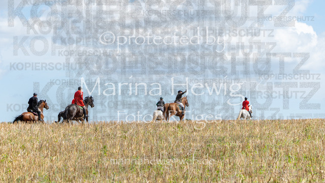 Jagd Wittenberg_MarinaHewig_MCH6547 | Fotografie, FotoArt, PferdesportArt, Pferdesportfotografie, Landschaftsfotografie, Reisefotografie, Reise, Pferde - Realisiert mit Pictrs.com