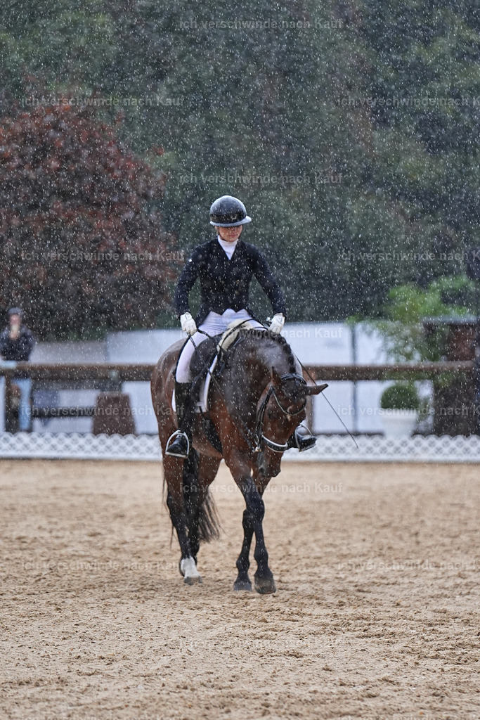 8_1-001-Klasse S_  -Marixx-4341 | working equitationturnier fotograf videograf stoibphotography marixx film working equitation deutschland reitsport turnierfotografie eventfotografie equestrian events