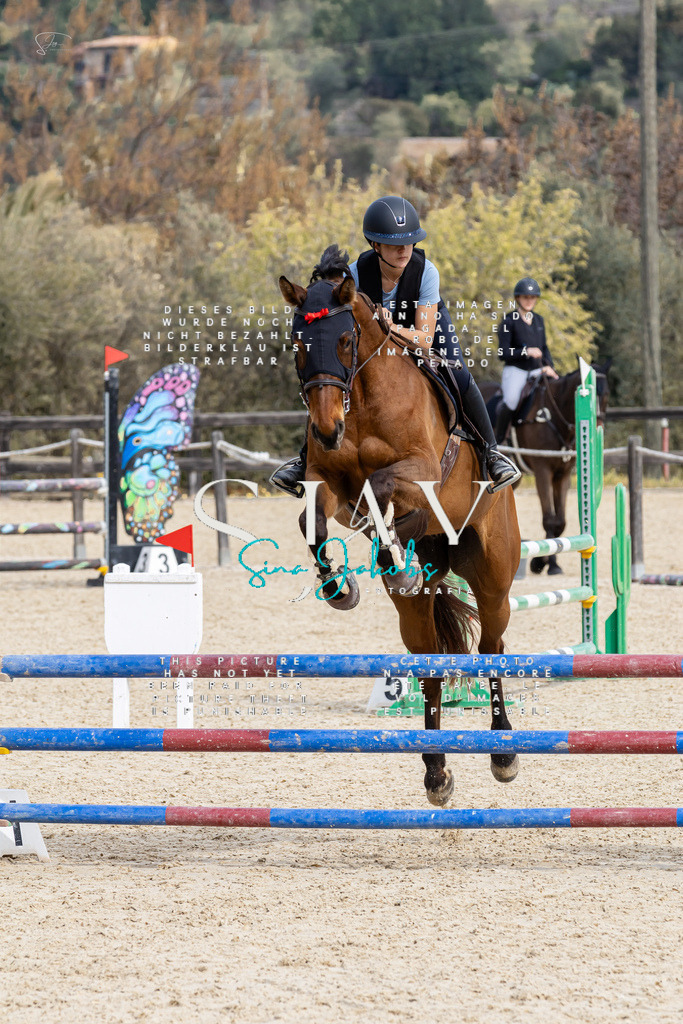 IMG_3527 | s-jay-photography - Realisiert mit Pictrs.com