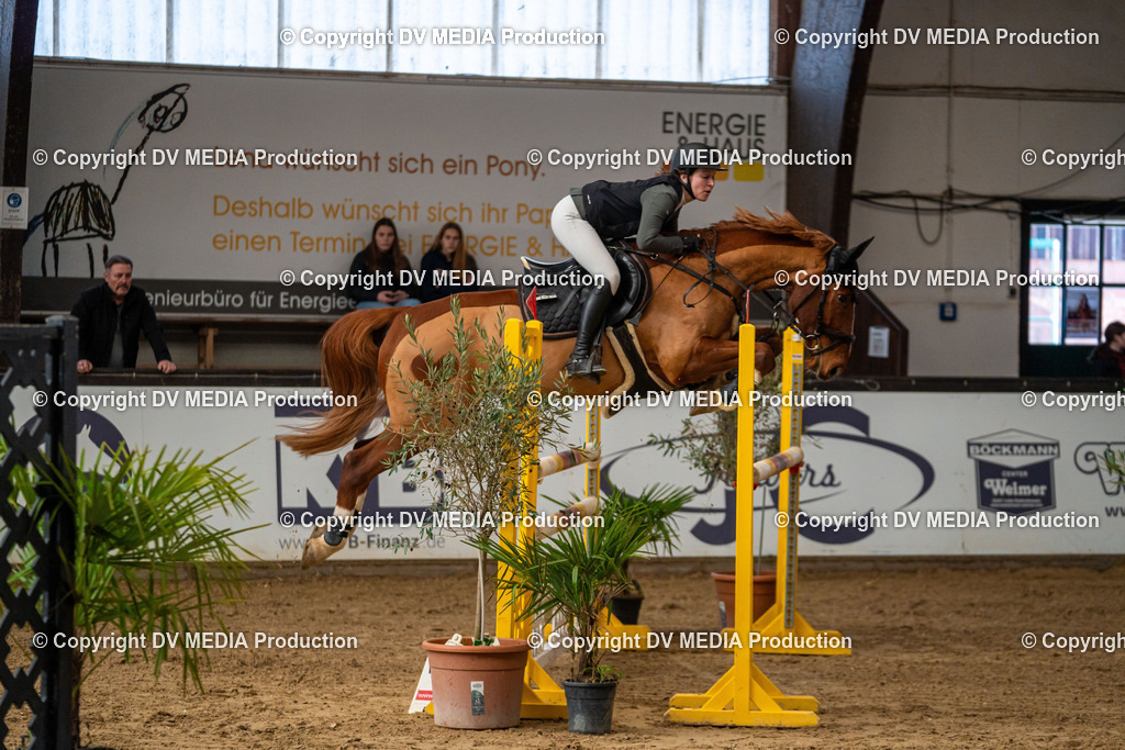 Kranichstein Tag 2-621 | dv-media-shop - Realisiert mit Pictrs.com