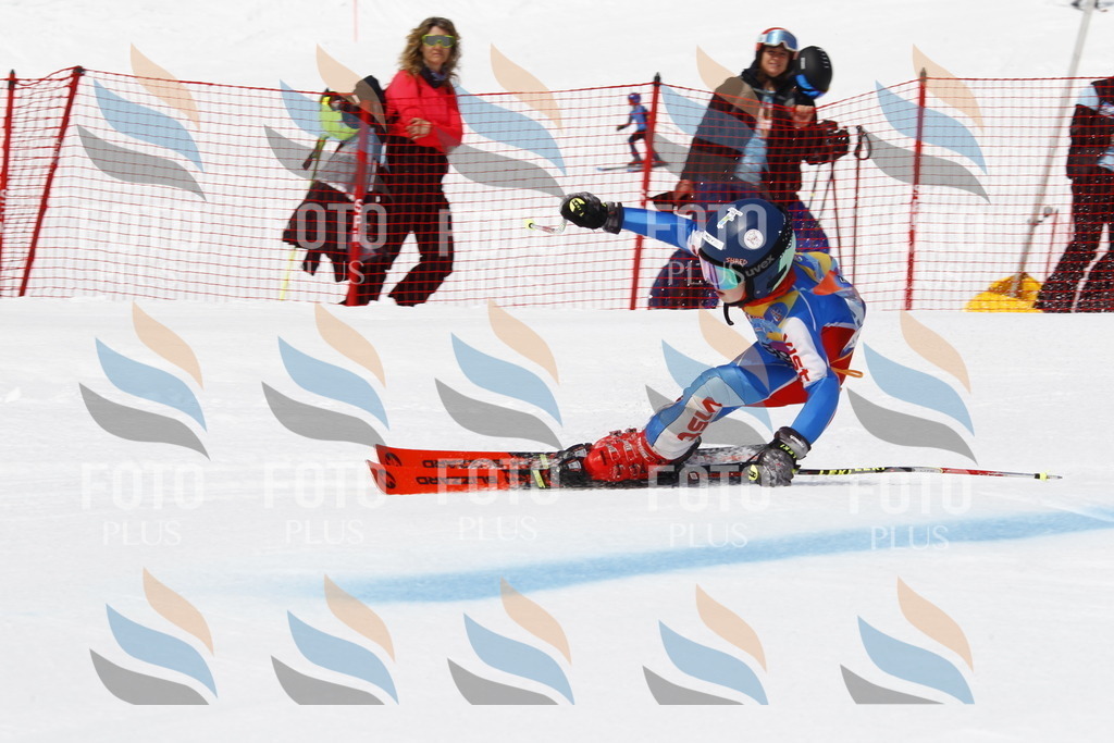 _U3G5196 | holidayphoto