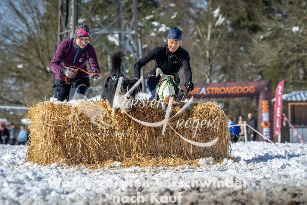 1203_ZZ91893-4 | kk-dogfotos