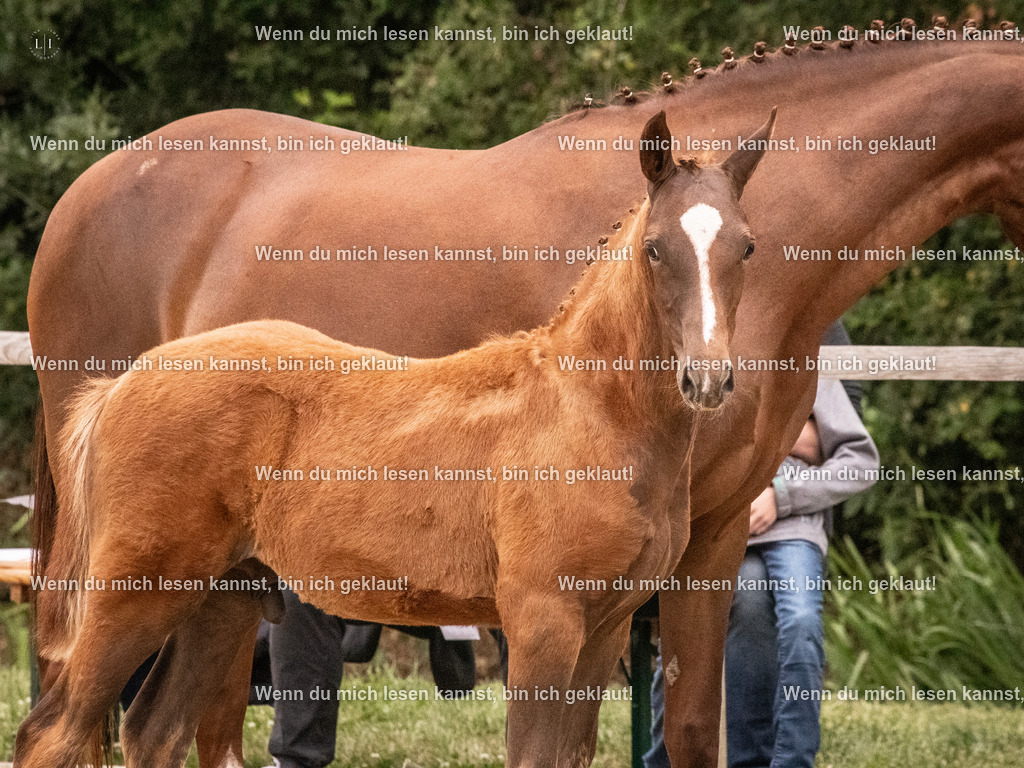 A10I2227 15.54.45 | photographylinaismer - Realisiert mit Pictrs.com