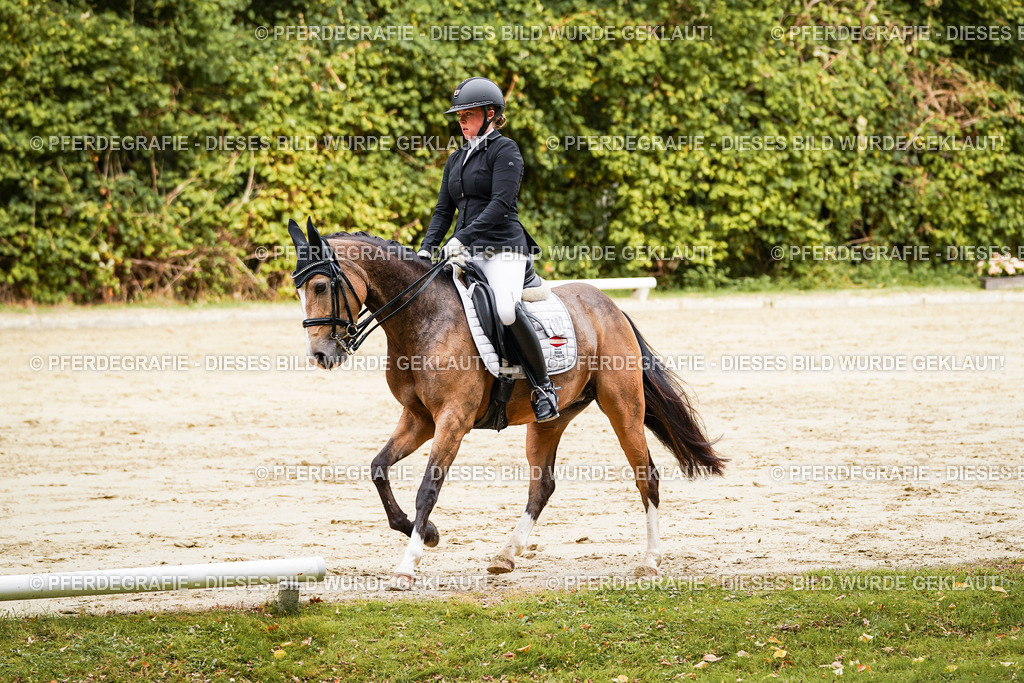 DSC02842 | Pferdegrafie