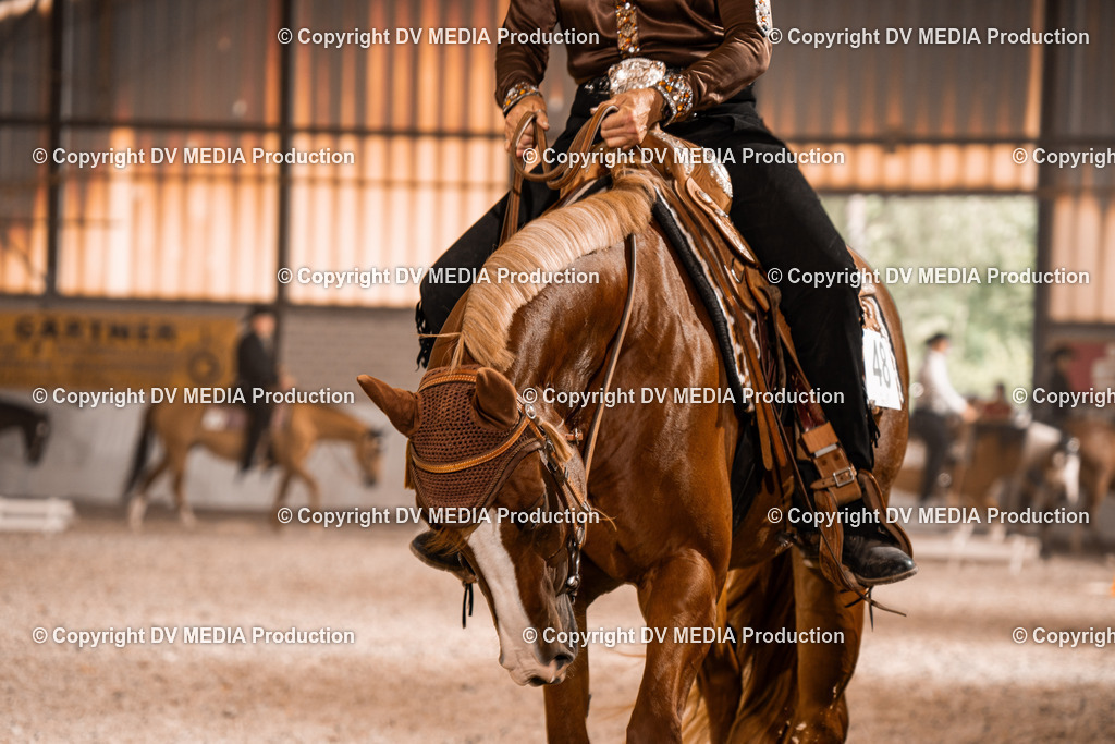 ZH100693 | dv-media-shop - Realisiert mit Pictrs.com