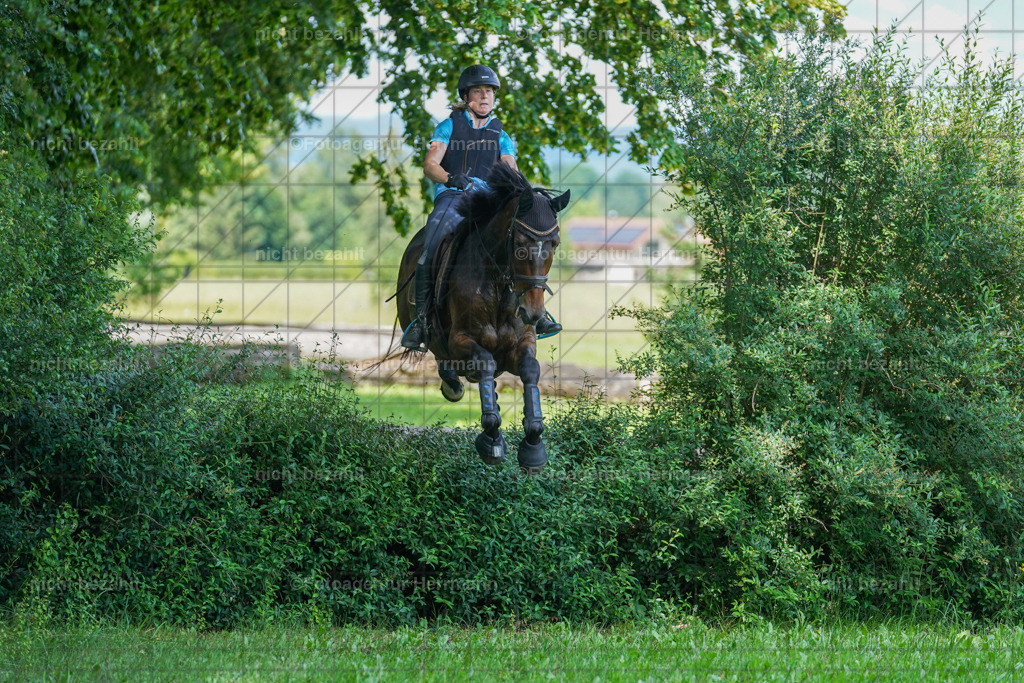 20240622-FAH07733 | Turnierfotografen Bayern, Reitsportbilder aus dem Geländekurs mit Felix Etzel auf dem Gut Waitzacker 2024