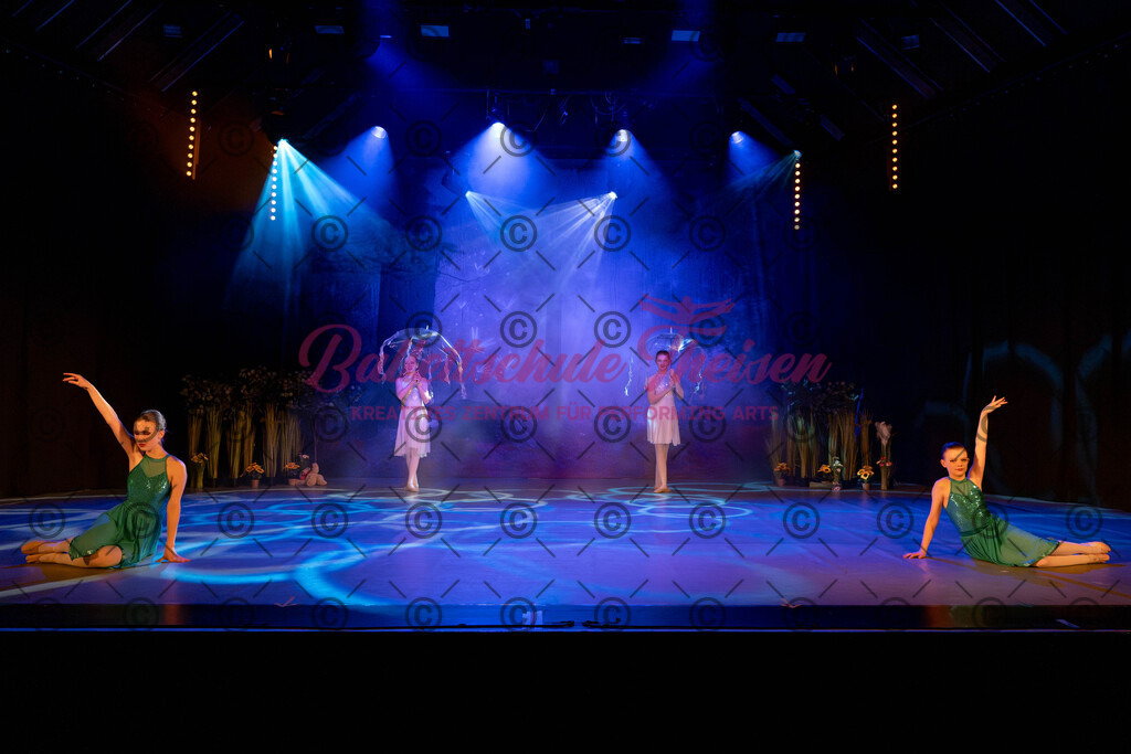 Ballettaufführung-410 | Bildershop Lem'n Entertainment - Realisiert mit Pictrs.com