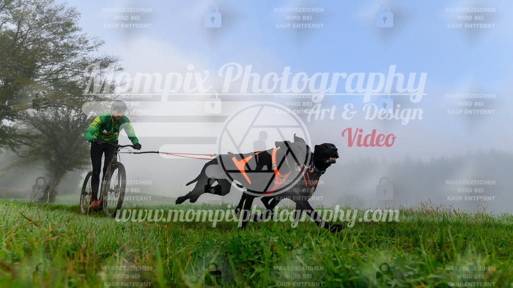 MompixPhotography_20TSB_E5_DS2-7 | PayLife