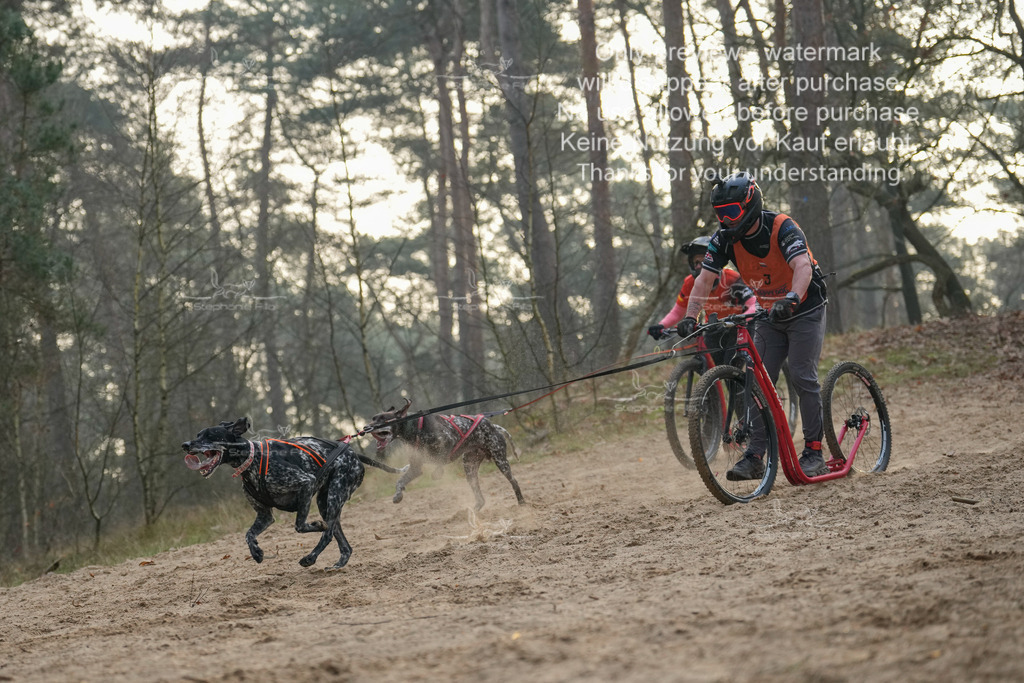 Scooter1-13 | stephaniefillaphotographie - Realisiert mit Pictrs.com