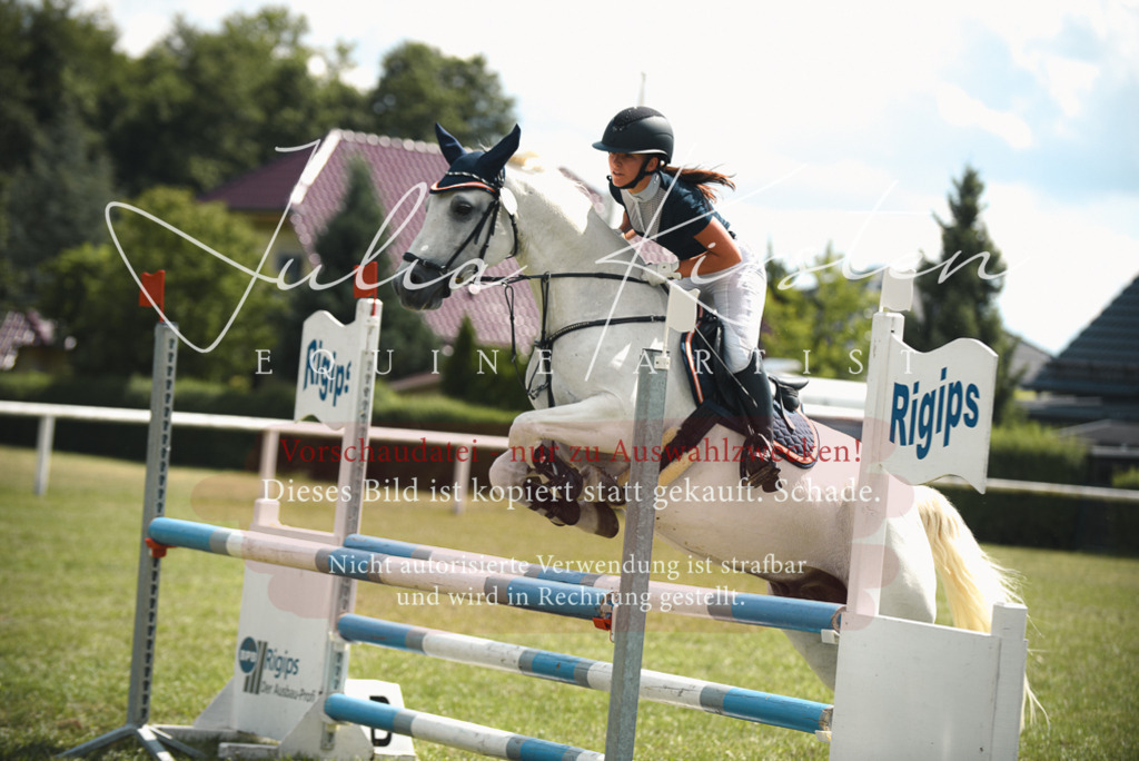 DSC_6748 | Pferde- und Turnierfotografie in Westsachsen. Pferdeportraits, Auftragszeichnungen und intuitive Kunst.